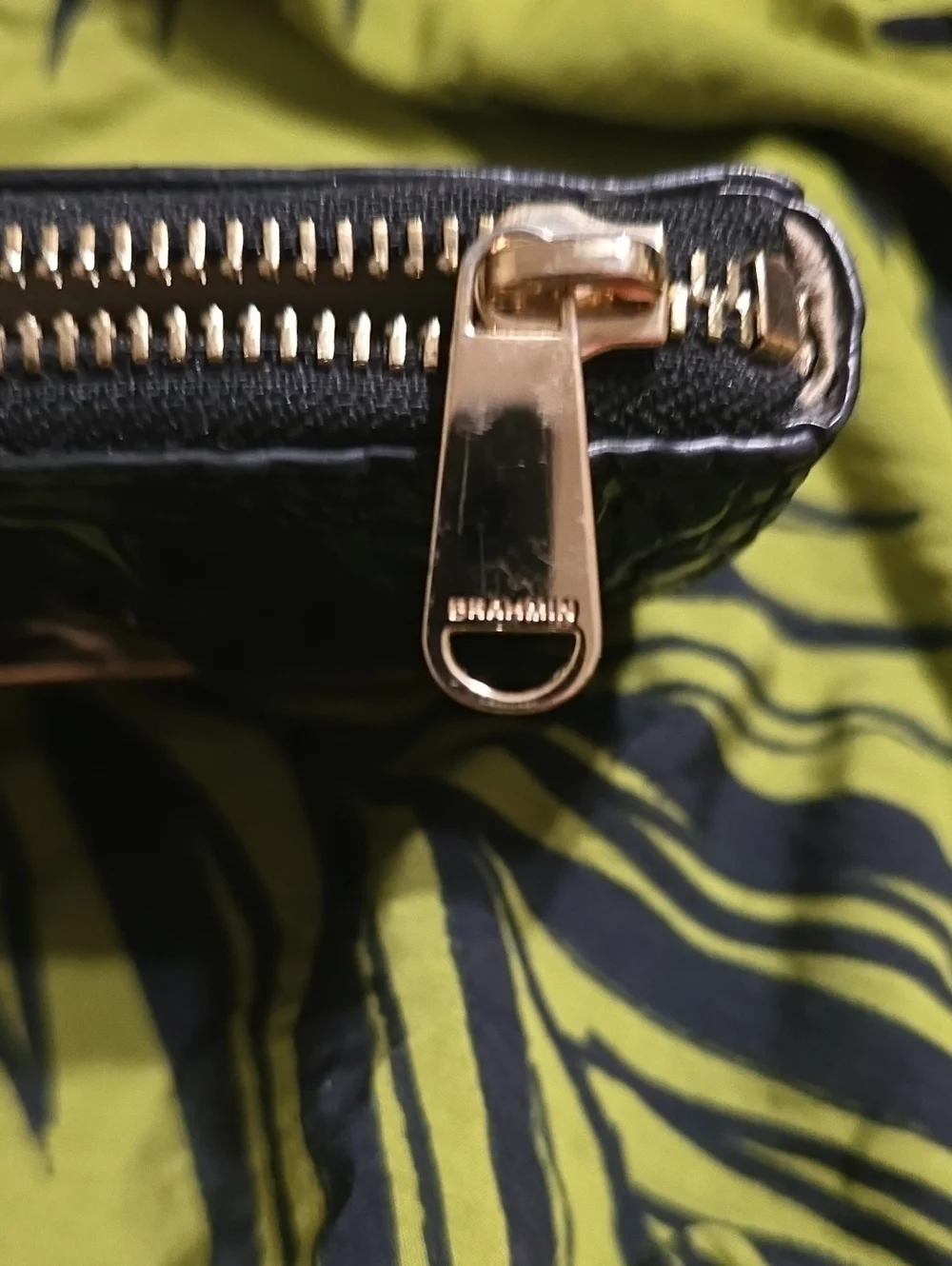 BRAHMIN Britt